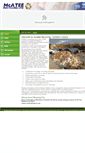 Mobile Screenshot of mcateerecycling.com